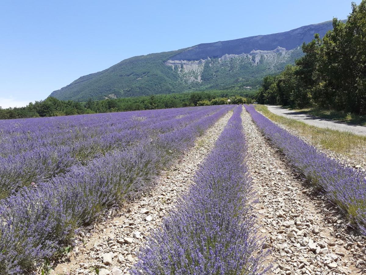 Rose Des Alpes Bed & Breakfast Serez Dış mekan fotoğraf